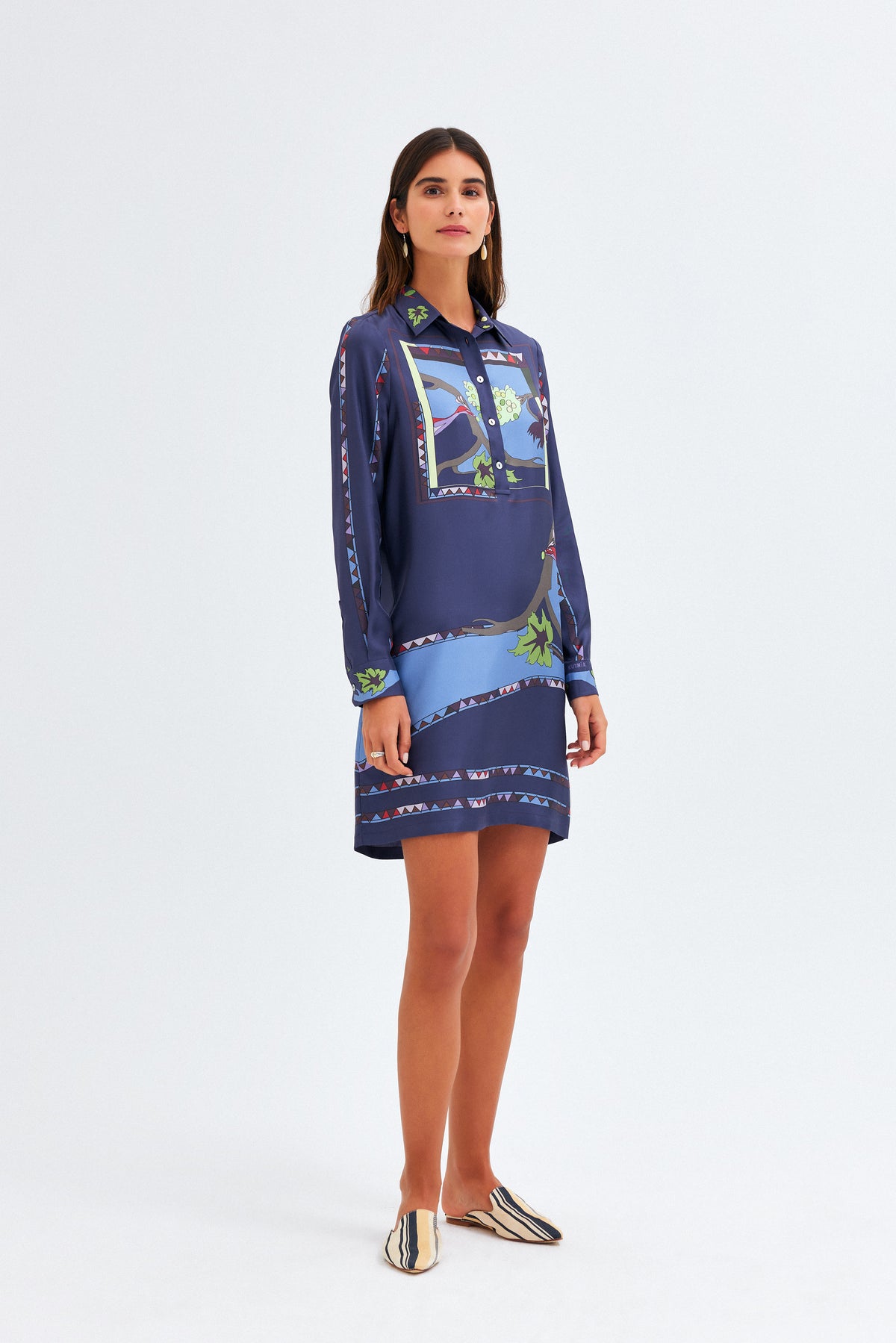 Zeugma Silk Short Shirt Dress - A Bird Eating Grape